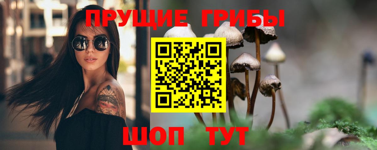 Псилоцибиновые грибы Psilocybine cubensis  Вход с VPN  Волжский 